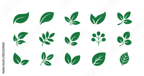 A simple vector illustration showing a set of green leaves representing nature, plants, and eco friendly design elements, Vector illustration.