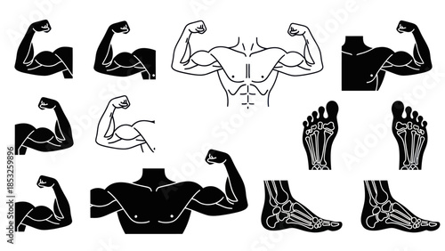 Muscular human body silhouettes and anatomical foot illustrations
