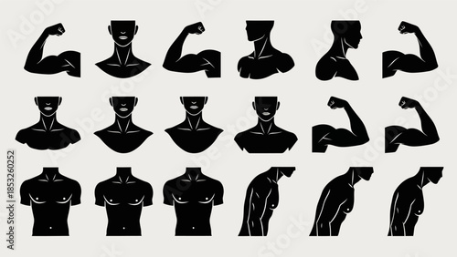 Silhouettes of the human body showing different poses and muscular arm flex