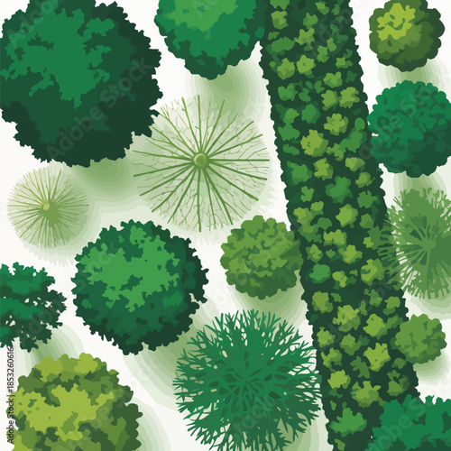 Green Trees and Bushes Isolated on White Background