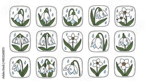Spring flowers collection hand drawn illustrations with raindrops and green leaves