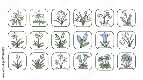 Spring flowers collection isolated on white in vector style