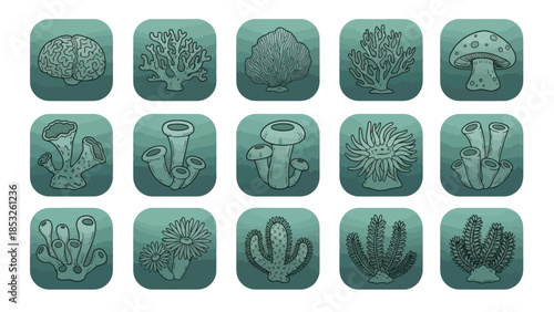 Underwater flora and fauna icons set aquatic plant and sea life design
