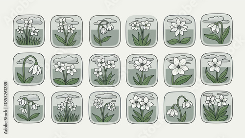 Spring flowers in square frames nature illustrations and floral designs