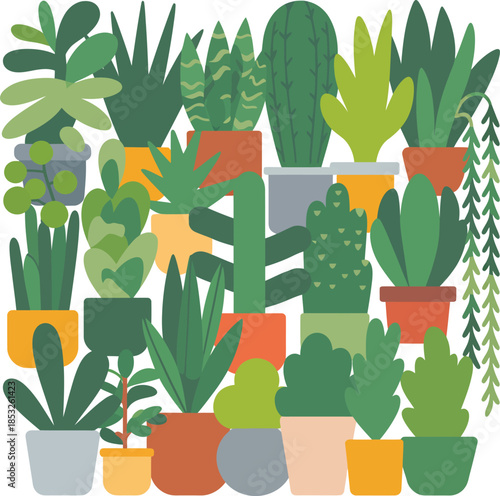 Variety of Potted Cacti and Succulents on White Background