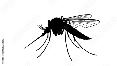 A detailed silhouette of a mosquito showcasing its delicate wings and proboscis