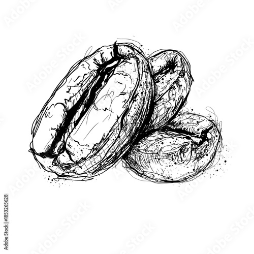 Coffee beans arranged on a plain background showing details of their shape and texture in a simple black and white style