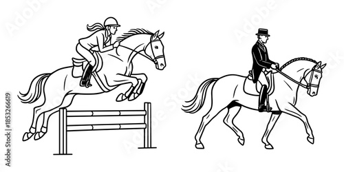 Vector illustration of equestrian sports. On the left, a female rider is shown jumping a horse over an obstacle, representing show jumping
