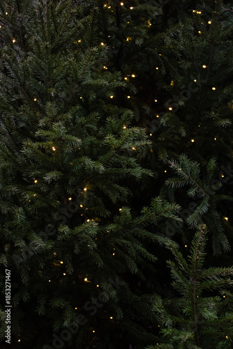 Fir branches of Christmas tree decorated with garland lights. Vertical New Year's wallpaper for phone. Selective focus, copy space