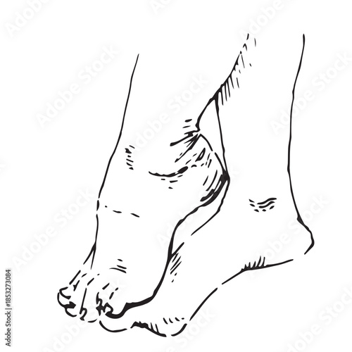 Foot and Ankle Flexibility Crossing Stretch Illustration