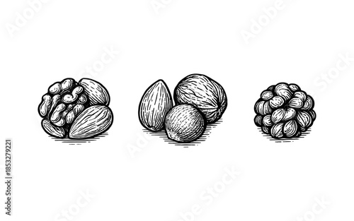 Hand drawn engraving style nuts: walnuts, almonds, and hazelnuts in black and white