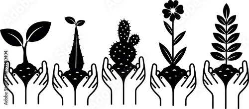 Black and White Plant growth Set for Illustration