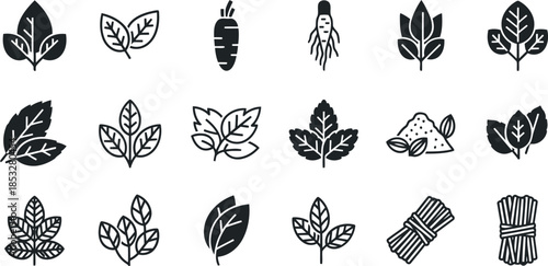 Black leaf and plant element icon set