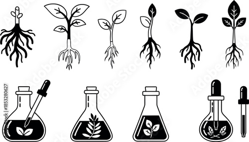 Black and White Plant growth Set for Science & Technology