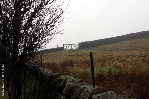 Fog Mist Mountainside III