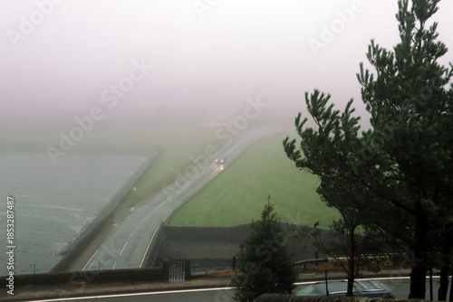 driving through the fog