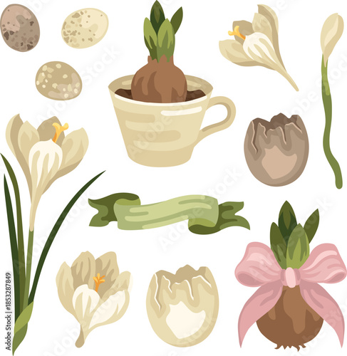 Spring Easter illustration set of blooming crocus flowers and bulb, bird eggs and eggshell, ribbon and bulb planted in a teacup