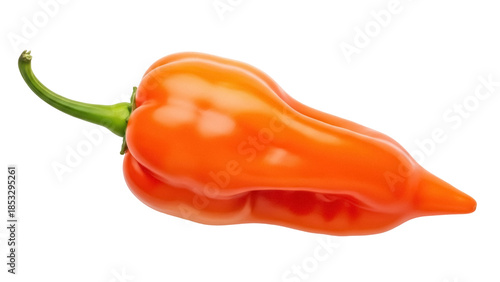 Bild auf Leinwand Vibrant orange Habanero pepper PNG isolated on transparent background, spicy chi