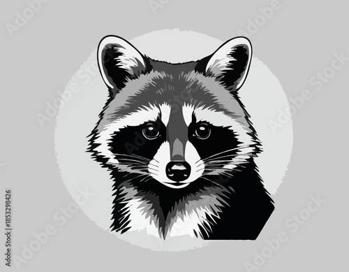 Raccoon in black and white animal drawing,