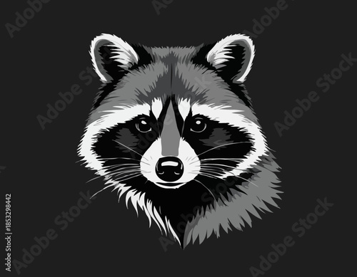 Raccoon in black and white animal drawing,
