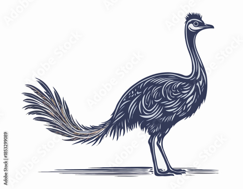 Artistic depiction of an emu bird in a stylized woodcut illustra