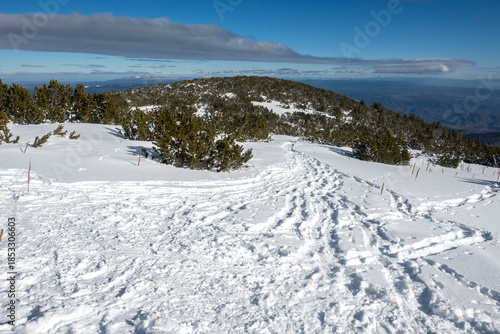 Wallpaper Mural Winter view of Pirin Mountain near Bezbog Peak, Bulgaria Torontodigital.ca