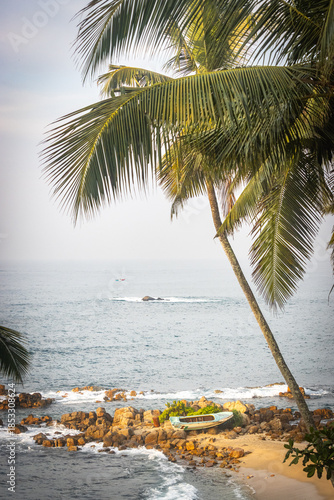 palm trees, beach, secret beach, mirissa, sri lanka, ceylon, asia