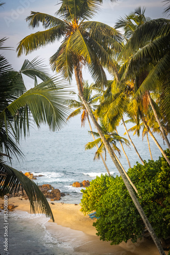 palm trees, beach, secret beach, mirissa, sri lanka, ceylon, asia