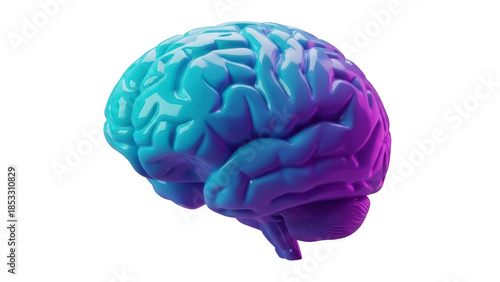 Φωτογραφία Human brain model in blue and purple isolated PNG, anatomical representation on