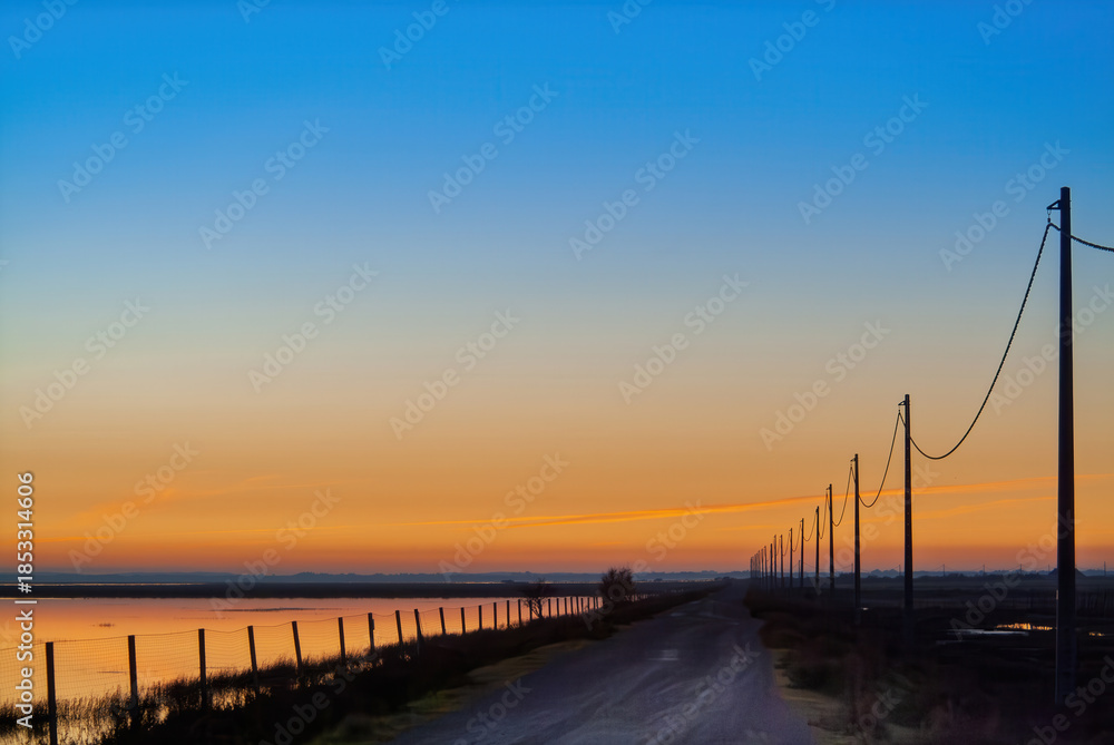 Fototapeta premium Doñana National Park Path at Dusk