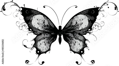 Intricate black and white butterfly illustration with elegant ornate wings, decorative monochrome artistic design element