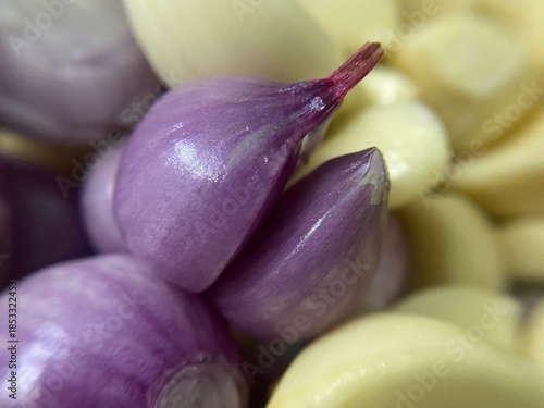 Fresh organic eggplant and purple onion with raw garlic isolated on a white background for healthy vegetarian nutrition