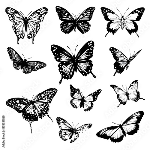 butterfly in black vector style with a white background different types of butterflies flying collage