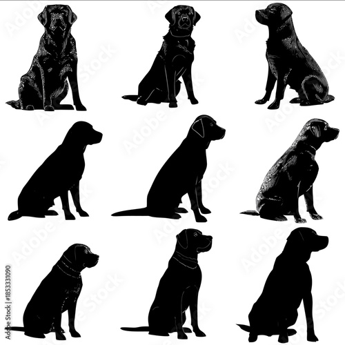 labrador retriever silhouette set Black White silhouette set No shadow No Additional Things