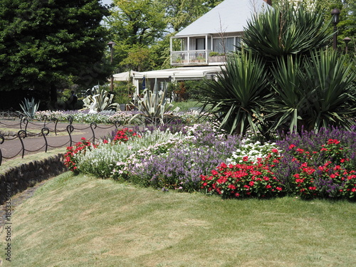 日比谷公園の風景