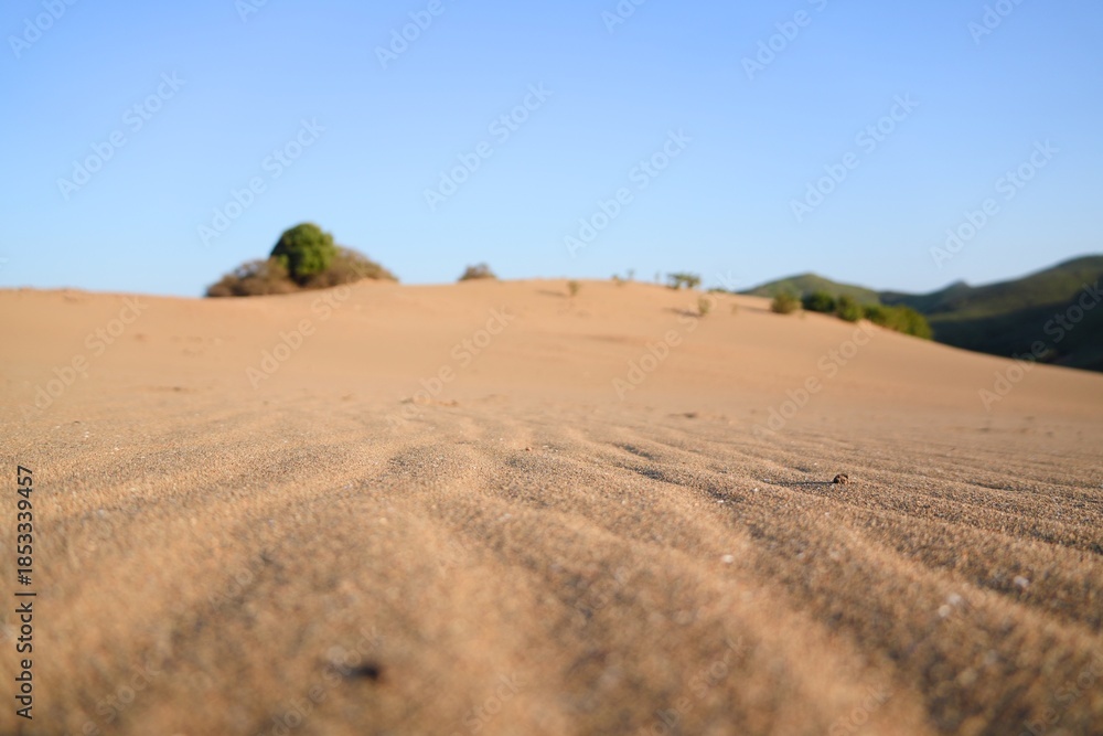 Fototapeta premium Limnos pachies ammoudies sand dunes desert landscape