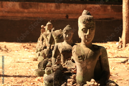 Tablou pe pânză U mong temple