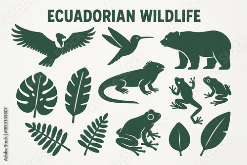Ecuadorian Wildlife Icon Set with Condor, Hummingbird, Spectacled Bear, Marine Iguana and Frogs in Vector
