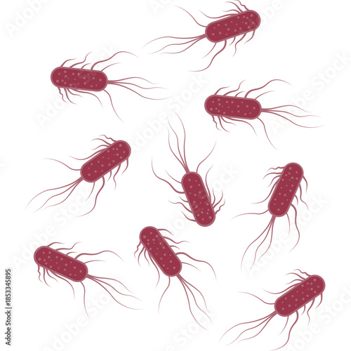 Salmonella Bacterium Icon