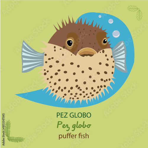 Pez globo. Puffer fish