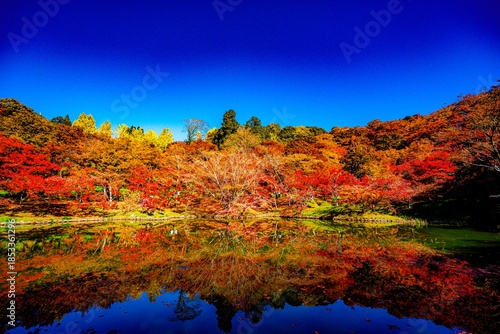 用作公園の紅葉