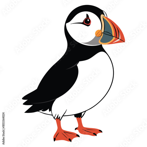 Arctic puffin cute animal vector illustration featuring black white plumage and bright large beak ideal for wildlife cartoon educational nature themed designs