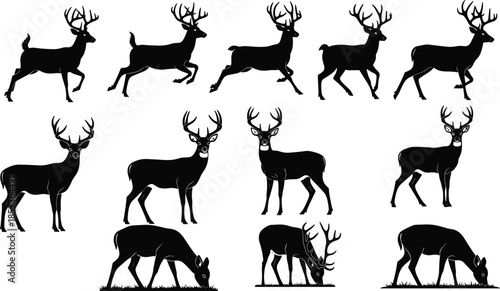 Running and standing deer silhouettes collection, wild stag and buck poses, forest animal set, black vector illustration for nature, wildlife, hunting design