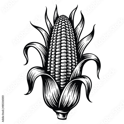 Cartoon flat vector illustration of woodcut corn icon natural organic product healthy food vegetarianism farm harvest sticker logo for social networks and messengers