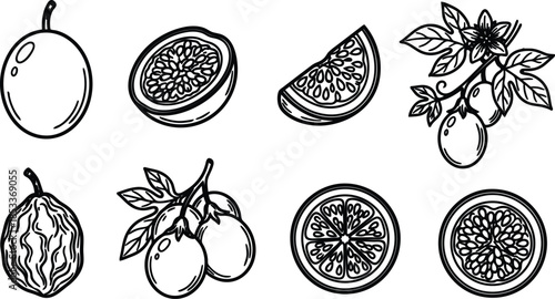 blackandwhiteillustrationsofvariouscitrusfruitsandleaves