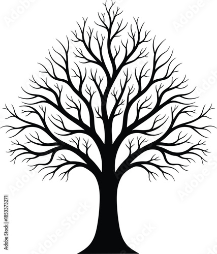 Detailed Black Tree Silhouette with Bare Branches, Isolated Oak or Maple Style Winter Plant for Nature Graphic Design, Forest Vector