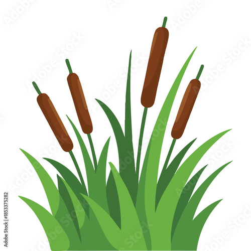 Green grass reeds bulrushes isolated on white background vector illustration perfect for swamp lake river environment and nature themed creative designs