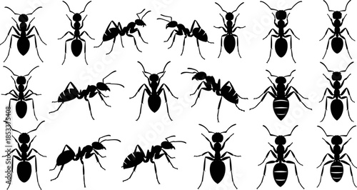 Ant silhouette vector collection featuring worker ants in multiple poses, detailed insect icons set for entomology design, biology education, nature graphics, and wildlife illustration projects