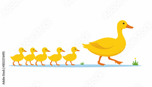Mother duck leading her ducklings in a line.