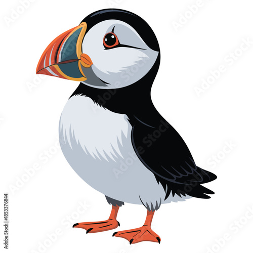 Cute puffin arctic animal vector illustration featuring black and white plumage and large bright beak suitable for wildlife cartoon educational and nature designs